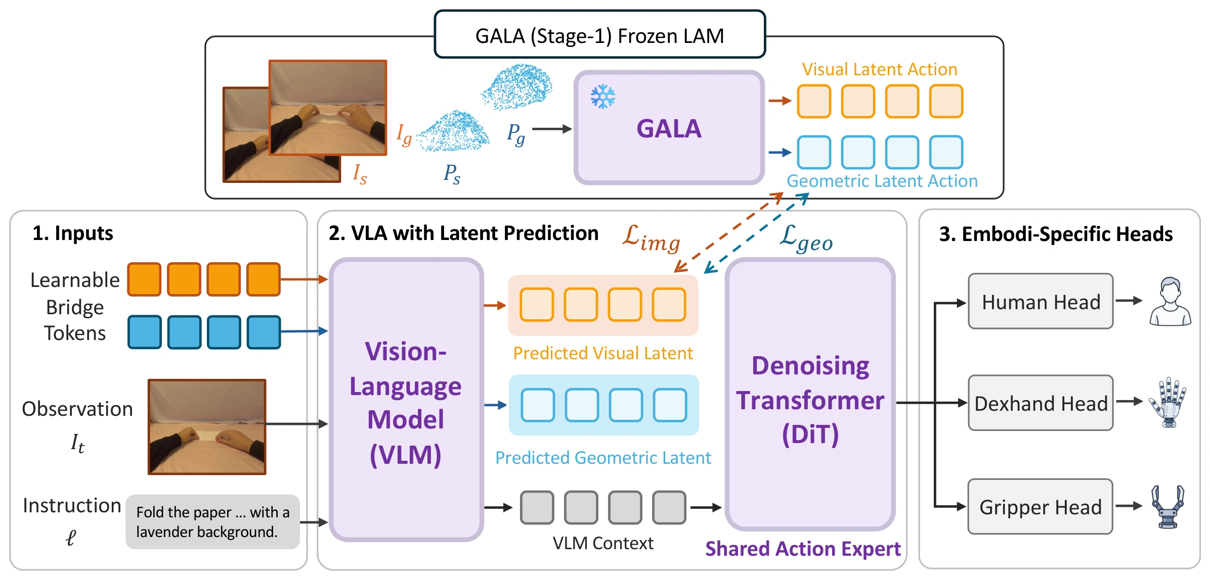 Stage 2 architecture: frozen GALA supervises VLM bridge tokens and a shared action expert with embodiment-specific heads.