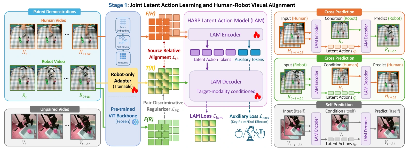 Paired and unpaired video transitions enter a frozen vision backbone with robot-only adapters. Self- and cross-prediction, shared-cue losses and SRPD alignment train a latent action model.